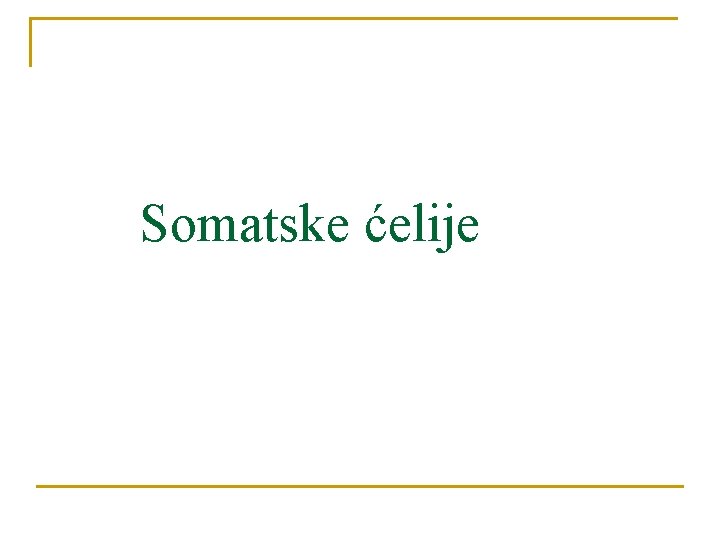 Somatske ćelije 