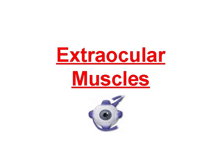 Extraocular Muscles 