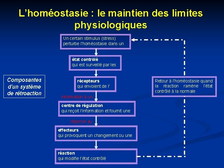 L’homéostasie : le maintien des limites physiologiques Un certain stimulus (stress) perturbe l’homéostasie dans