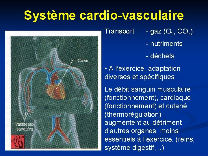 Système cardio-vasculaire Transport : - gaz (O 2, CO 2) - nutriments - déchets
