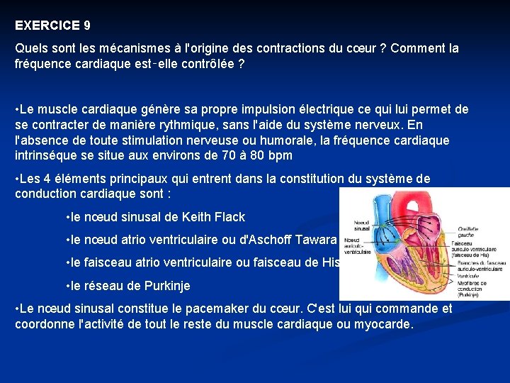 EXERCICE 9 Quels sont les mécanismes à l'origine des contractions du cœur ? Comment