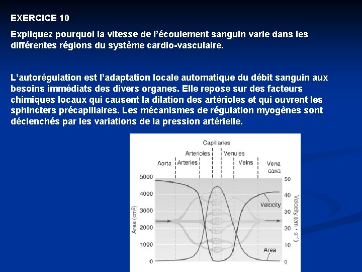 EXERCICE 10 Expliquez pourquoi la vitesse de l’écoulement sanguin varie dans les différentes régions