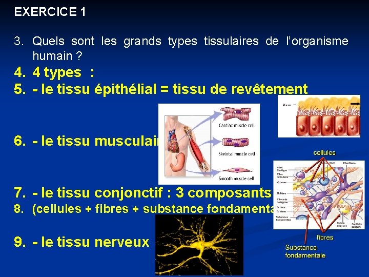 EXERCICE 1 3. Quels sont les grands types tissulaires de l’organisme humain ? 4.