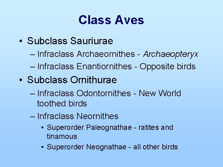 Class Aves • Subclass Sauriurae – Infraclass Archaeornithes - Archaeopteryx – Infraclass Enantiornithes -