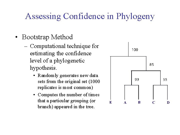 Assessing Confidence in Phylogeny • Bootstrap Method – Computational technique for estimating the confidence