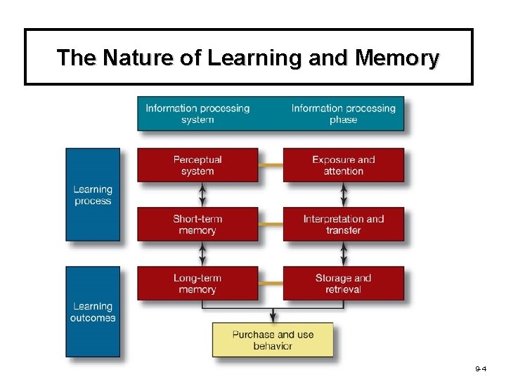 The Nature of Learning and Memory 9 -4 