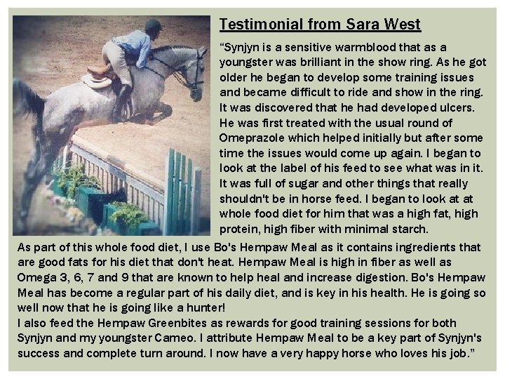 Testimonial from Sara West “Synjyn is a sensitive warmblood that as a youngster was