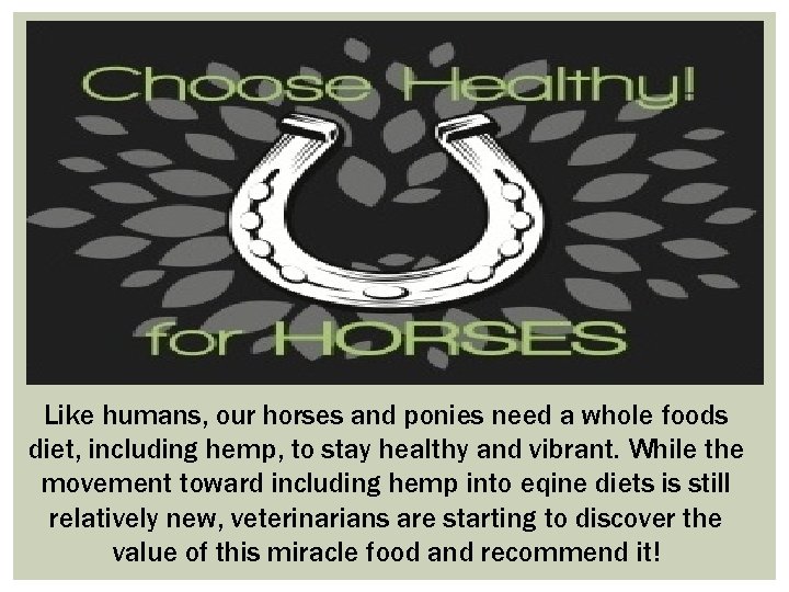 Like humans, our horses and ponies need a whole foods diet, including hemp, to