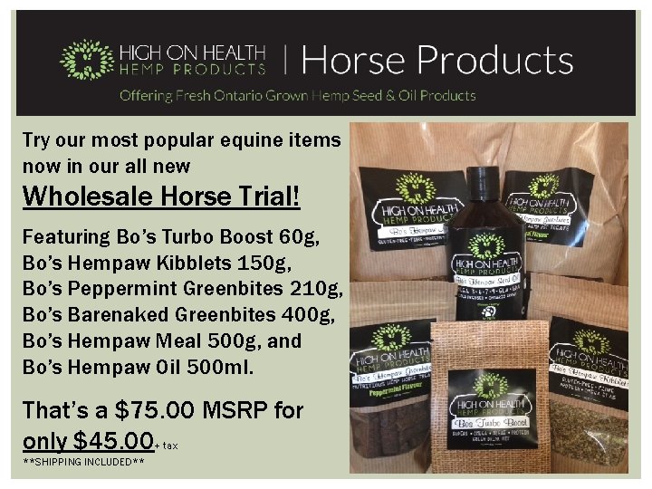 Try our most popular equine items now in our all new Wholesale Horse Trial!