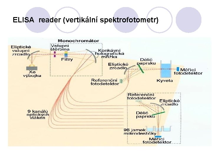 ELISA reader (vertikální spektrofotometr) 