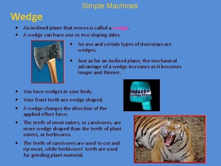 Wedge Simple Machines • An inclined plane that moves is called a wedge. •