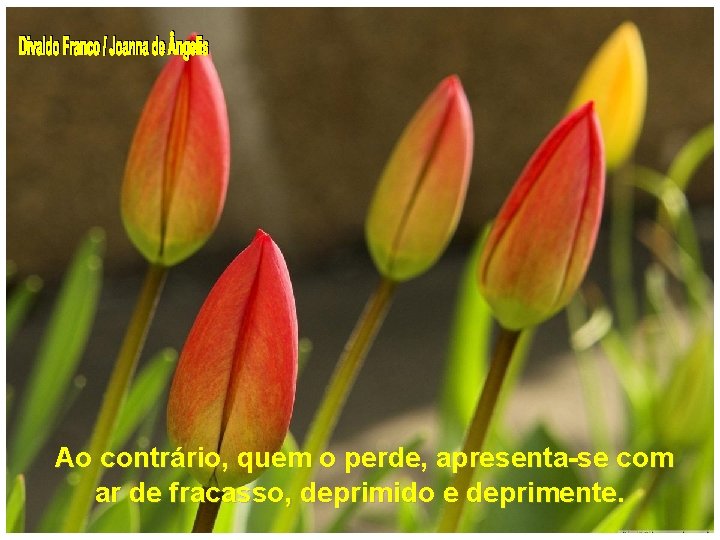  Ao contrário, quem o perde, apresenta-se com ar de fracasso, deprimido e deprimente.