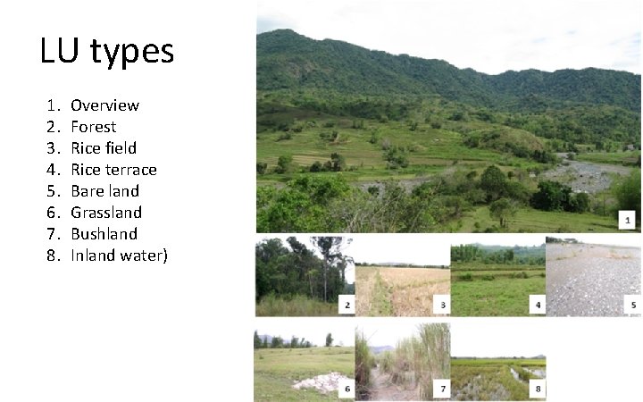 LU types 1. 2. 3. 4. 5. 6. 7. 8. Overview Forest Rice field