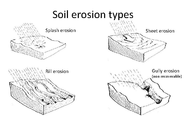 Soil erosion types Splash erosion Rill erosion Sheet erosion Gully erosion (non recoverable) 