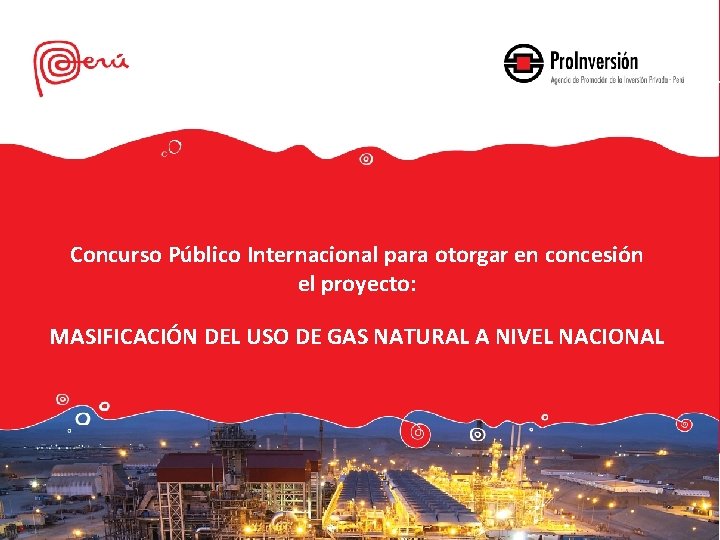 Concurso Público Internacional para otorgar en concesión el proyecto: MASIFICACIÓN DEL USO DE GAS