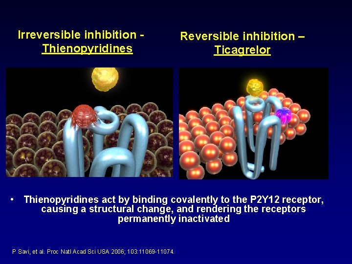 Irreversible inhibition Thienopyridines Reversible inhibition – Ticagrelor • Thienopyridines act by binding covalently to