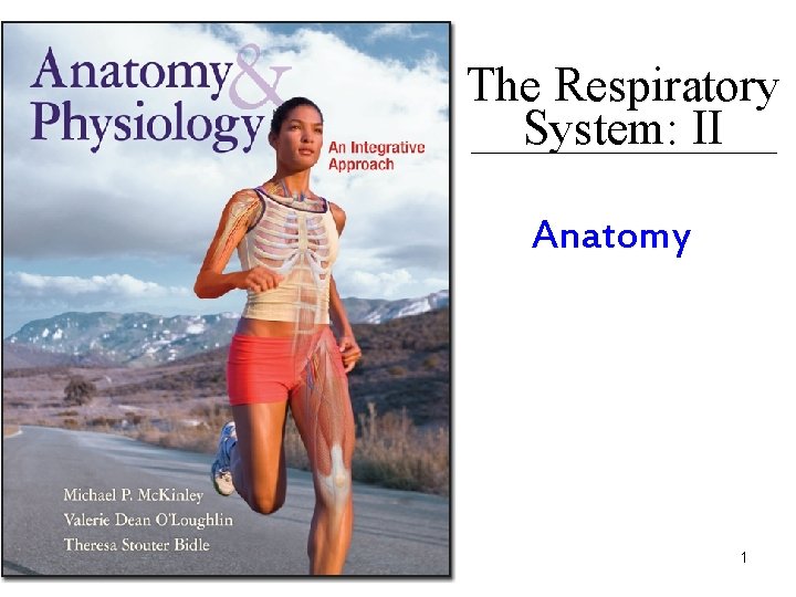 The Respiratory System: II Anatomy 1 