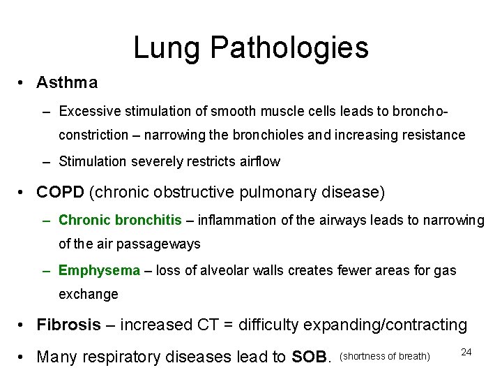 Lung Pathologies • Asthma – Excessive stimulation of smooth muscle cells leads to bronchoconstriction