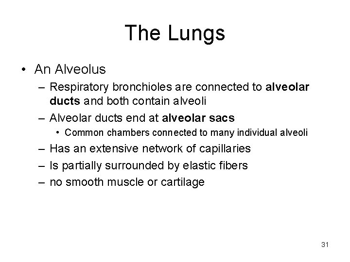 The Lungs • An Alveolus – Respiratory bronchioles are connected to alveolar ducts and