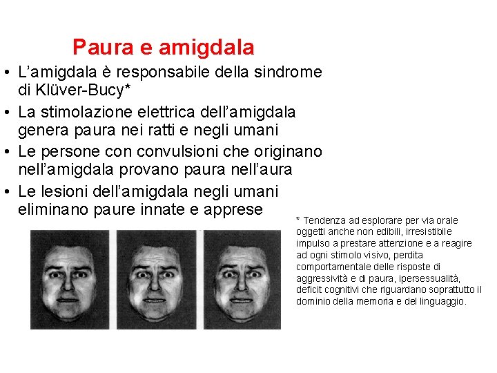 Paura e amigdala • L’amigdala è responsabile della sindrome di Klüver-Bucy* • La stimolazione Paura e amigdala • L’amigdala è responsabile della sindrome di Klüver-Bucy* • La stimolazione