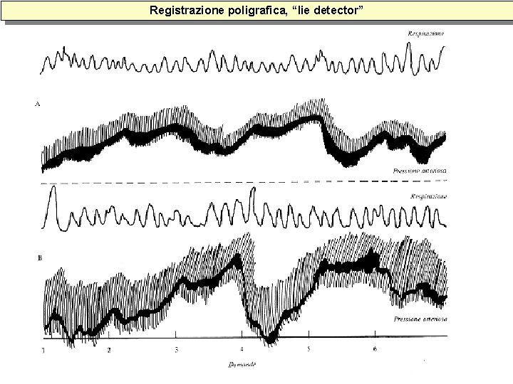 Registrazione poligrafica, “lie detector” Registrazione poligrafica, “lie detector”