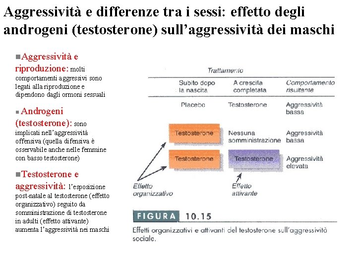 Aggressività e differenze tra i sessi: effetto degli androgeni (testosterone) sull’aggressività dei maschi n. Aggressività e differenze tra i sessi: effetto degli androgeni (testosterone) sull’aggressività dei maschi n.