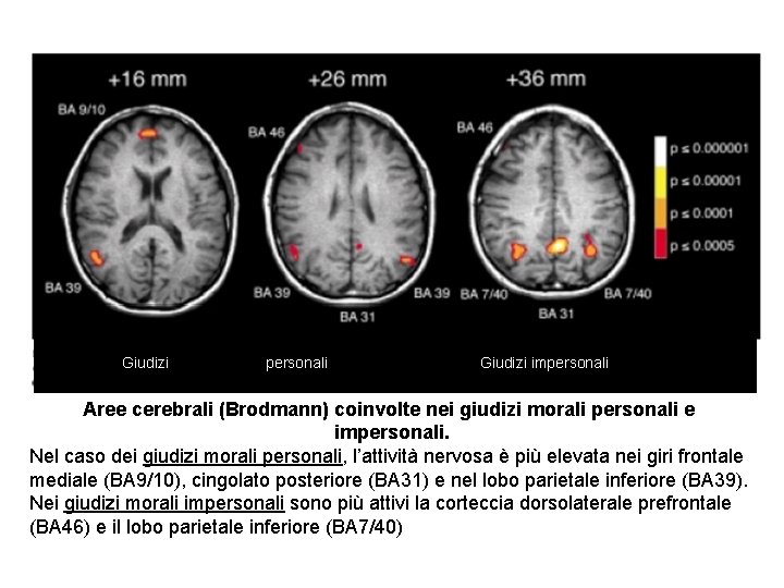 Giudizi personali Giudizi impersonali Aree cerebrali (Brodmann) coinvolte nei giudizi morali personali e impersonali. Giudizi personali Giudizi impersonali Aree cerebrali (Brodmann) coinvolte nei giudizi morali personali e impersonali.