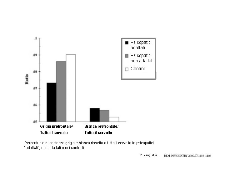 Psicopatici adattati Psicopatici non adattati Controlli Grigia prefrontale/ Bianca prefrontale/ Tutto il cervello Percentuale Psicopatici adattati Psicopatici non adattati Controlli Grigia prefrontale/ Bianca prefrontale/ Tutto il cervello Percentuale