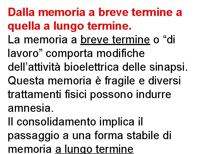 Dalla memoria a breve termine a quella a lungo termine. La memoria a breve Dalla memoria a breve termine a quella a lungo termine. La memoria a breve