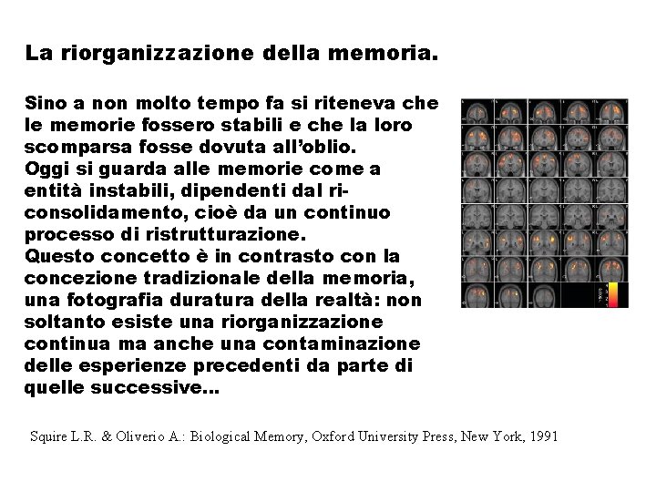 La riorganizzazione della memoria. Sino a non molto tempo fa si riteneva che le La riorganizzazione della memoria. Sino a non molto tempo fa si riteneva che le