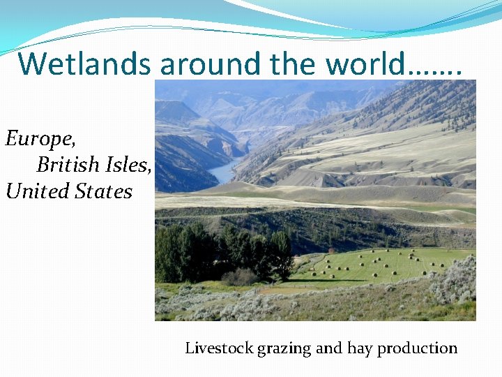 Wetlands around the world……. Europe, British Isles, United States Livestock grazing and hay production