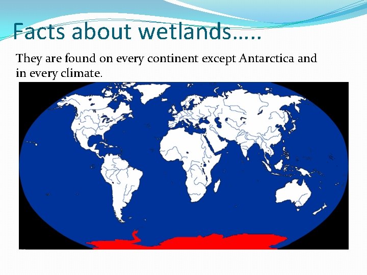 Facts about wetlands…. . They are found on every continent except Antarctica and in