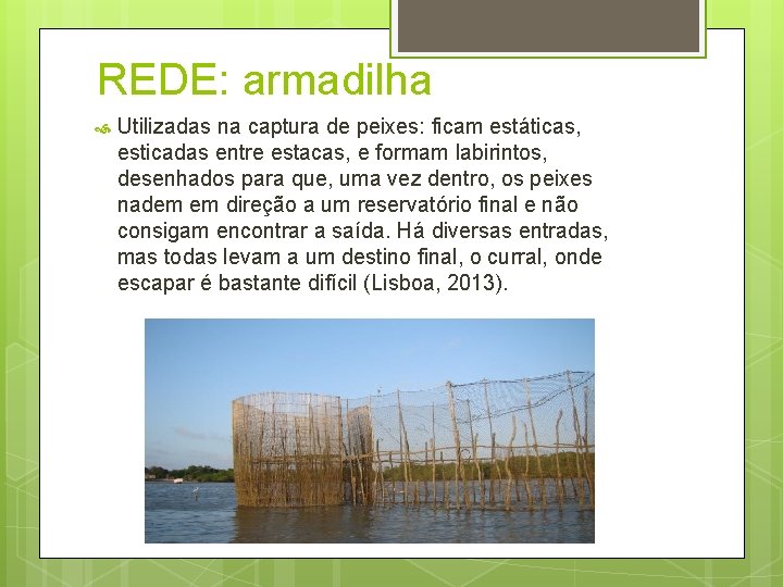 REDE: armadilha Utilizadas na captura de peixes: ficam estáticas, esticadas entre estacas, e formam