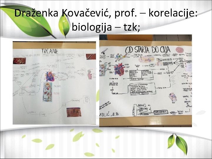 Draženka Kovačević, prof. – korelacije: biologija – tzk; 