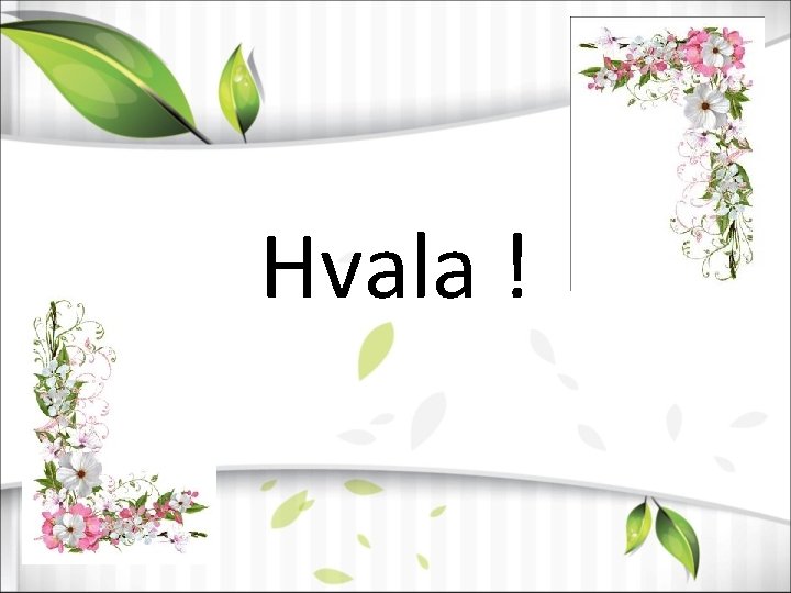 Hvala ! 