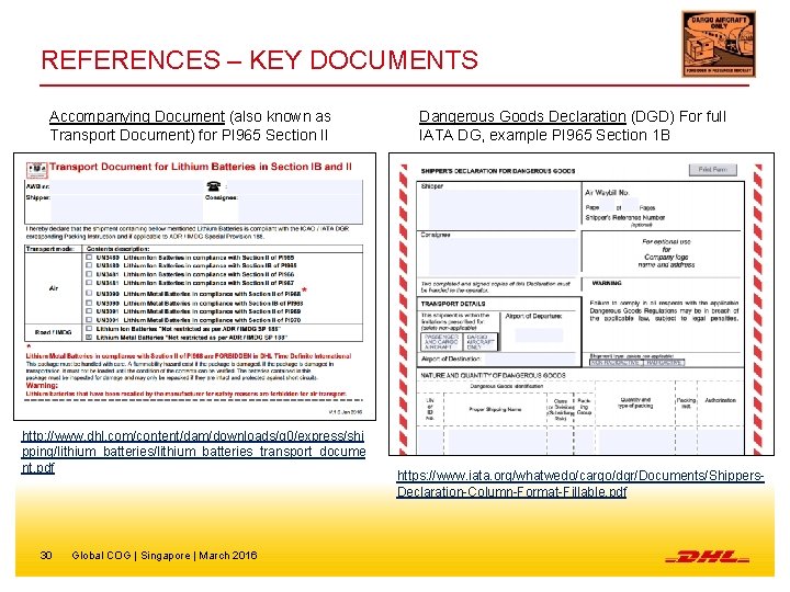 REFERENCES – KEY DOCUMENTS Accompanying Document (also known as Transport Document) for PI 965