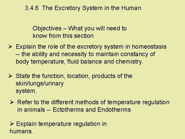 3. 4. 6 The Excretory System in the Human Objectives – What you will 3. 4. 6 The Excretory System in the Human Objectives – What you will
