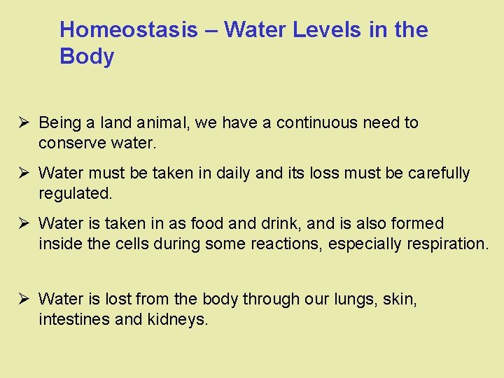 Homeostasis – Water Levels in the Body Ø Being a land animal, we have Homeostasis – Water Levels in the Body Ø Being a land animal, we have