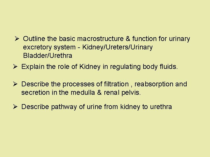 Ø Outline the basic macrostructure & function for urinary excretory system - Kidney/Ureters/Urinary Bladder/Urethra Ø Outline the basic macrostructure & function for urinary excretory system - Kidney/Ureters/Urinary Bladder/Urethra