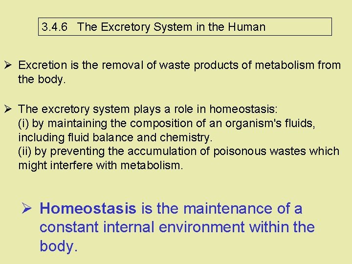 3. 4. 6 The Excretory System in the Human Ø Excretion is the removal 3. 4. 6 The Excretory System in the Human Ø Excretion is the removal