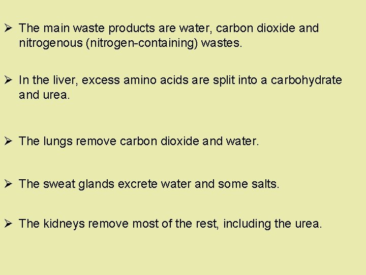 Ø The main waste products are water, carbon dioxide and nitrogenous (nitrogen-containing) wastes. Ø Ø The main waste products are water, carbon dioxide and nitrogenous (nitrogen-containing) wastes. Ø