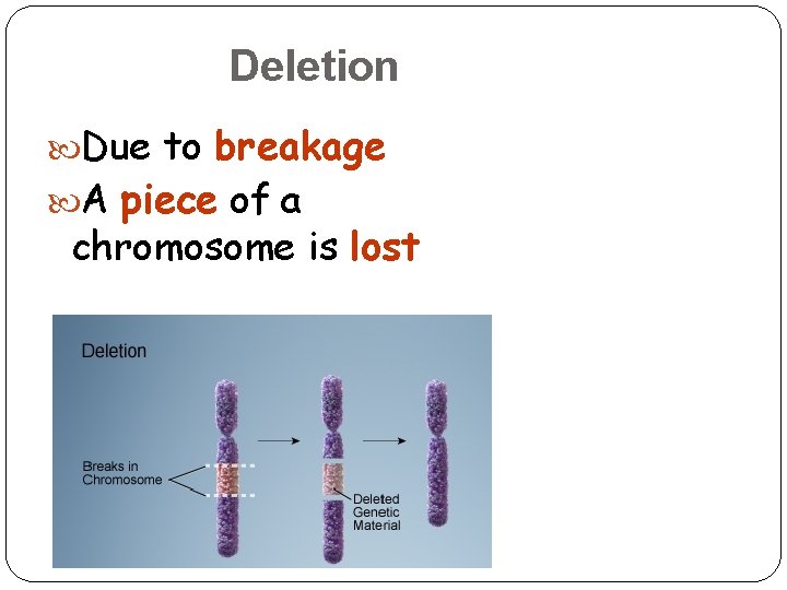 Deletion Due to breakage A piece of a chromosome is lost 17 