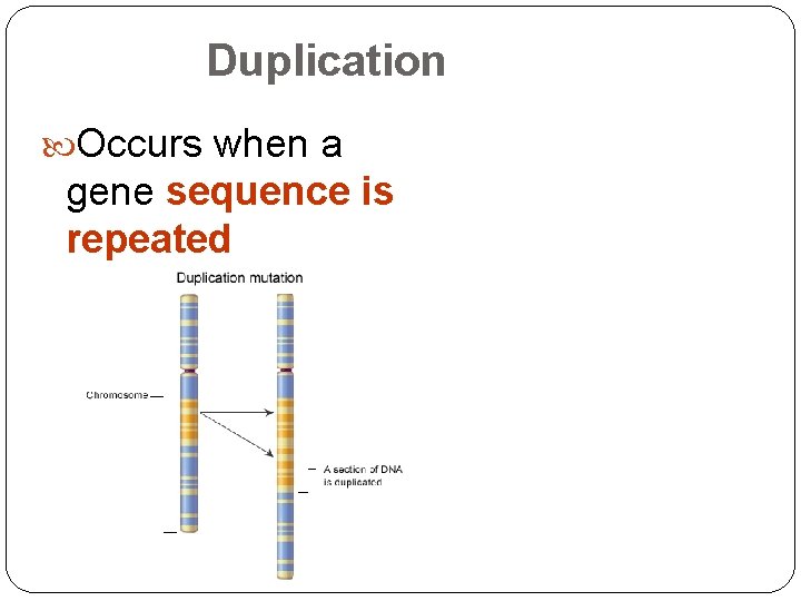 Duplication Occurs when a gene sequence is repeated 19 