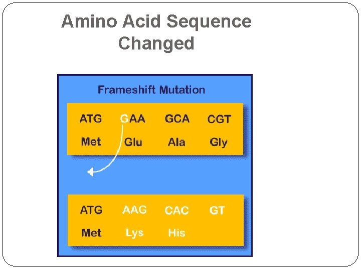 Amino Acid Sequence Changed 32 