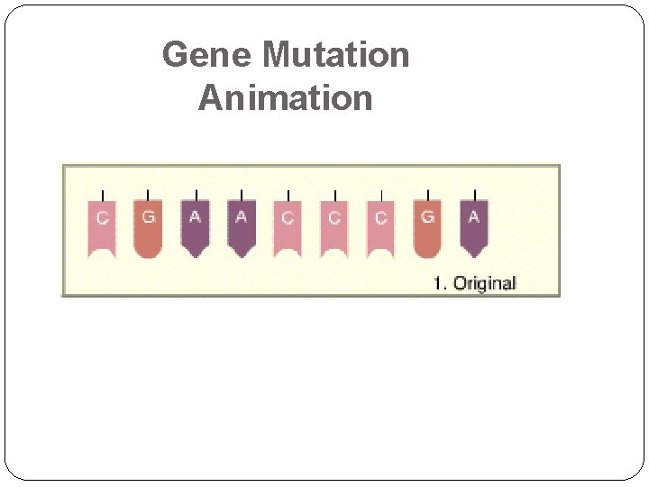 Gene Mutation Animation 33 