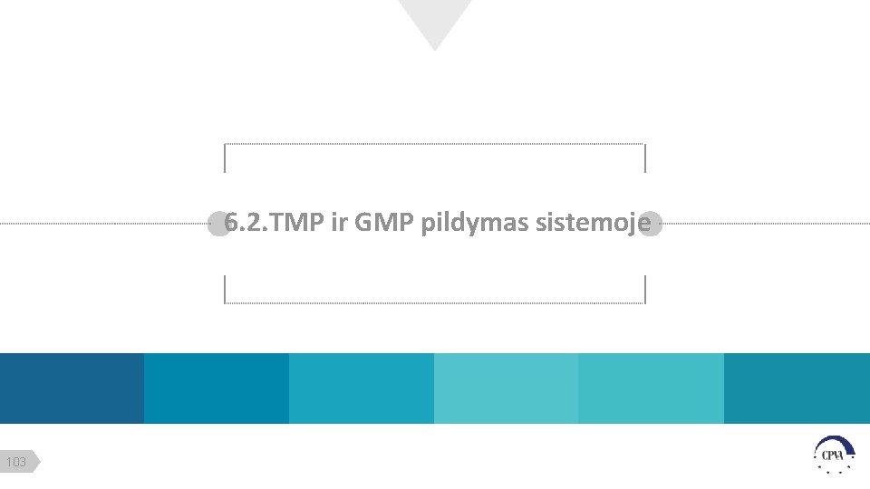 6. 2. TMP ir GMP pildymas sistemoje 103 