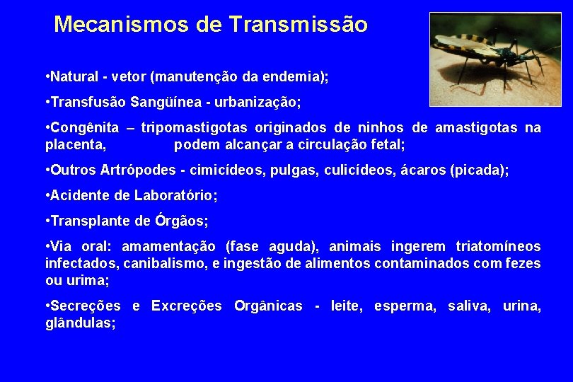 Mecanismos de Transmissão • Natural - vetor (manutenção da endemia); • Transfusão Sangüínea -