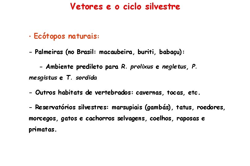 Vetores e o ciclo silvestre • Ecótopos naturais: - Palmeiras (no Brasil: macaubeira, buriti,