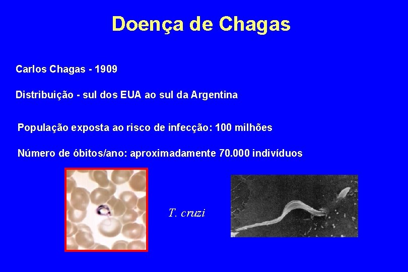 Doença de Chagas Carlos Chagas - 1909 Distribuição - sul dos EUA ao sul