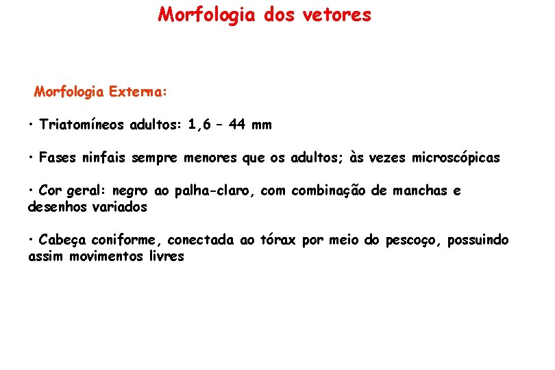 Morfologia dos vetores Morfologia Externa: • Triatomíneos adultos: 1, 6 – 44 mm •
